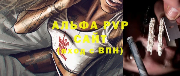 альфа пвп Заводоуковск