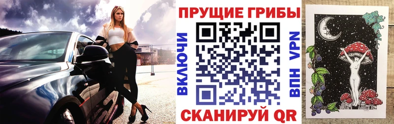 Псилоцибиновые грибы мухоморы  Купить  Закаменск 
